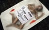 Adland booted from Google Adsense due to PETA's misogynist ads
