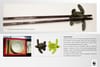 WWF Turtle Conservation Program - Chopsticks - ambient, Indonesia