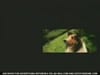 Animal Planet - Mambo (2005) 0:30 (USA)