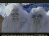 Capital One - Yeti  (2002) - 0:30 (USA)