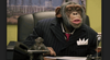 Goodbye CareerBuilder.com Chimps