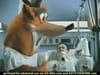 PS2 / Playstation 2 - Crash Bandicoot - The Wrath of Cortex - Mechanical Bulls