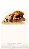 Draft won't say who screwed up the lion-ad
