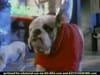 Kibbles n Bits - Spike  (2001) - 0:15 (USA)