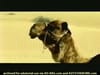 Nike Golf - Desert  (2001) - 0:30 (USA)