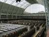 D&AD Judging is underway, despite ashes from that volcano