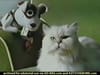 The return of the Pets.com sock puppet?