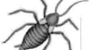 So.  What's It Like Being A Roach?