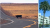 When California Slides Into The Ocean, Won't Nevada Be The New California?