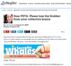 BlogHer noticed we didn't like PETA's save the whales: neither did they
