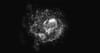 FamousGrey provides a new and powerful memory for parents of stillborn babies: the Shortest Lives project