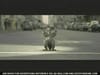 The Ladders / theladders.com - Monster - long (2009) :45  (USA)