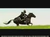 Black Knight Licorice - Gone Soft (2006) 0:45 (New Zealand)
