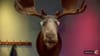 Maynards - Glide - (2010) :30