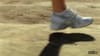 Famous Footwear - Kenyans (2011) :15 USA