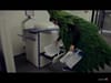 Toshiba National NO Print Day
