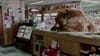 Chobani - Bear - (2014) :30 (USA)