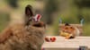 Reynolds Wrap & Tiny Hamster celebrates 4th of July (2015)