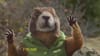 Marmot - 'Fall In Love' - (2016) :30 (USA)