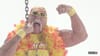 Hostamania - Web Hosting powered by Hulk Hogan - Wrecking Ball (2013)