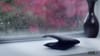 BMO Harris Mobile Banking  "When it rains...'  (2016) :15 (Canada)