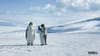 GEICO "The great penguin migration' (2017) 1:00 (USA)