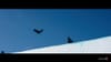 NBC sports Winter Olympics Best of U.S. | Shaun White - (2018) :60 (USA)