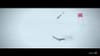 NBC sports Winter Olympics Best of U.S. | Lindsey Vonn (2018) :60 (USA)