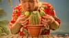 Tutti Fruitti - Cactus Lime - (2009) :30 (Finland) Subs