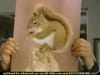 Midas - Squirrel (2002) - 0:15 (USA)