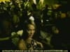 Doc Otis - Different Shade  (2001) - 0:30 (USA)