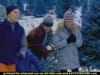Marshalls - Tree  (2002) - 0:15 (USA)