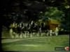 Budweiser - The Foal  (1975) - 0:30 (USA)