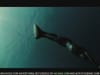 BMW - Efficient Dynamics / Freediver - (2008) :70 (South Africa)