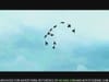 Wonder performance bread - "Not for ducks" - (2008) :30 (Australia)