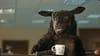 Tele2 - Frank and the new HR Manager - (2009) :30