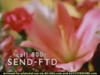 FTD - Mother's Day - 2K5 (2005) 0:30 (USA)