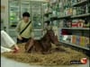 Open source miracle horse-birth advert.