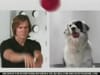 Hanes - Kevin Bacon - short (2006) :15  (USA)