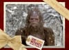 Do not eat yellow snow. Eat Beef Jerky.