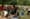 Visit London's Great Outdoors sets up office in St James' Park
