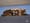 Snickers - Shark, Lion, Bear - print, USA