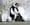 Bansky frees his art online