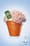 Drench - Plant (2007) Print (UK)