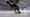 GLP Director Gary Land Hits The Ice For Shot On iPhone’s “Hockey Tape”