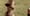 Super Bowl XLVI: Ads of 2012 - SPOILER ALERT - UPDATED 2/3