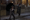 MSN Search incorporates past virals into new viral campaign
