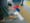Lego - Lego Ecucation center Bubble-mats, ambient Australia