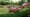 Mini countryman - FLOW - (2010) :60
