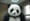 Panda Feta - Panda in Office - (2010)